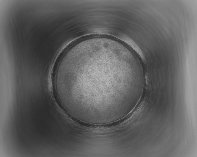 X0000102410972200808081321