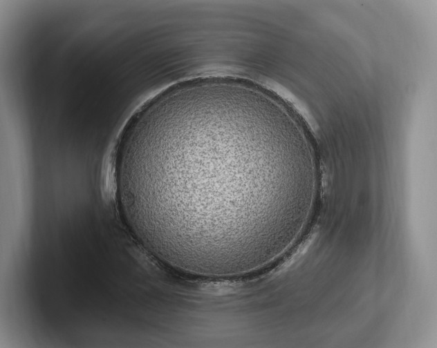 X0000102410973200808081321