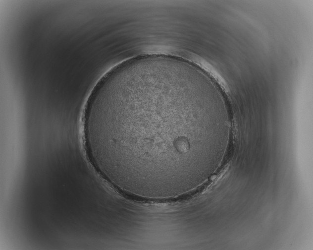 X0000102410976200808081321