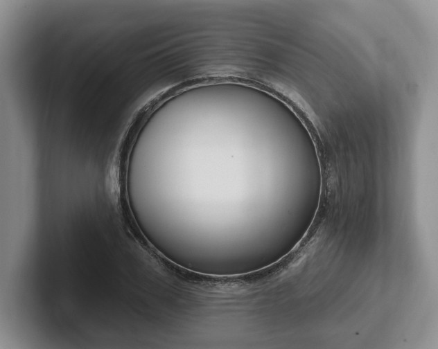 X0000102410979200808081321