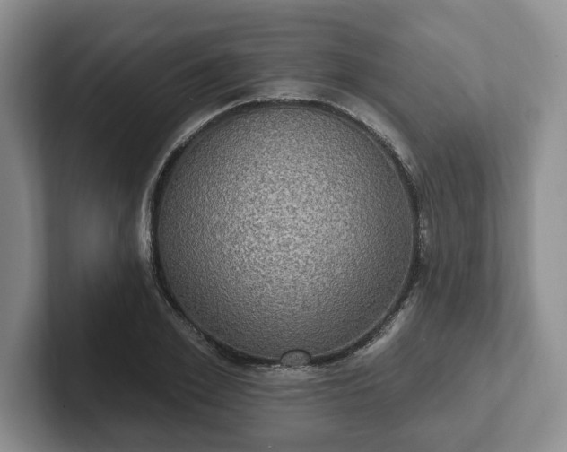 X0000102410981200808081321