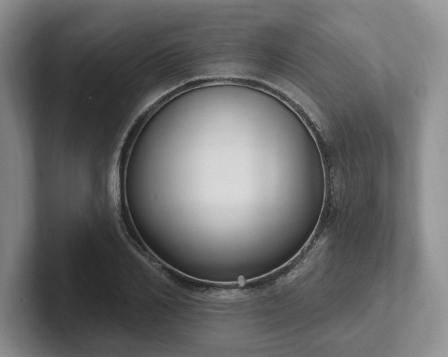 X0000102410982200808081321