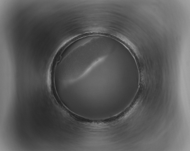 X0000102410983200808081321