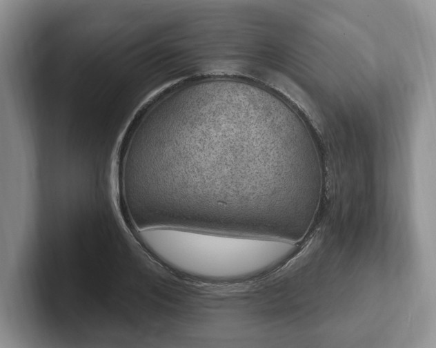 X0000102410984200808081321