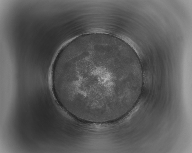 X0000102410987200808081321