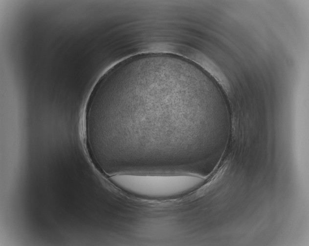 X0000102410988200808081321