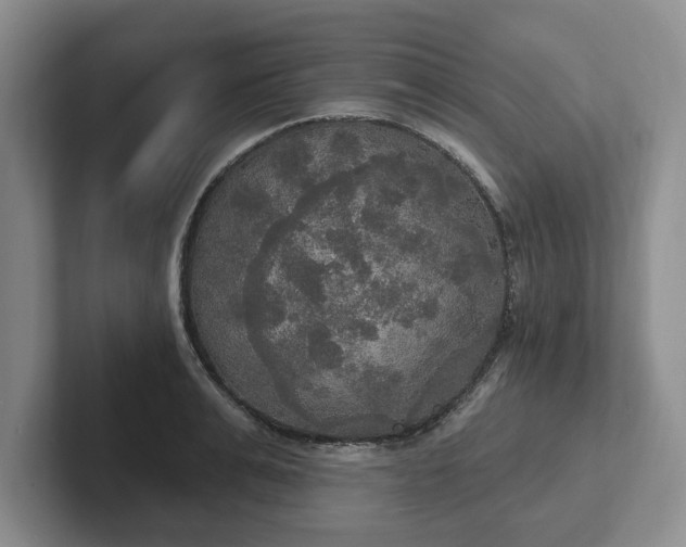 X0000102410991200808081321