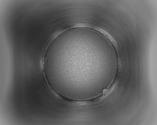 X0000102410993200808081321