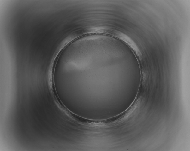 X0000102410994200808081321