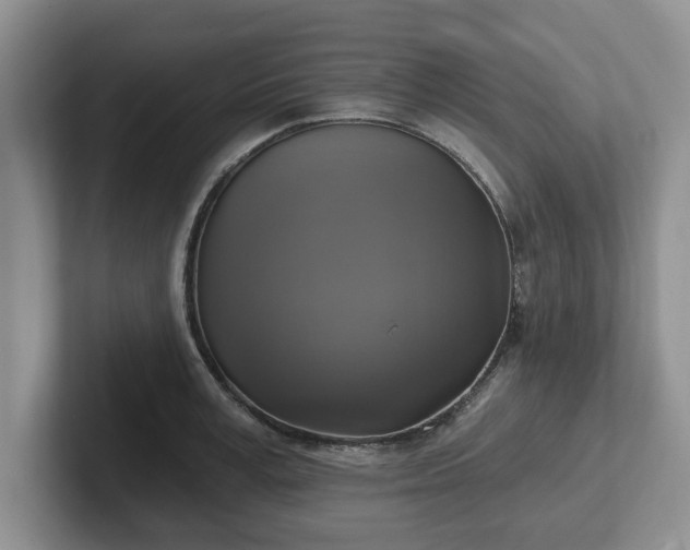 X0000102410995200808081321