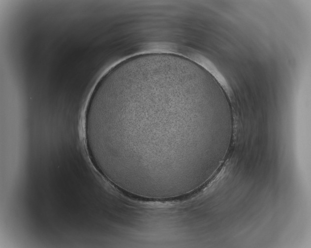 X0000102410996200808081321