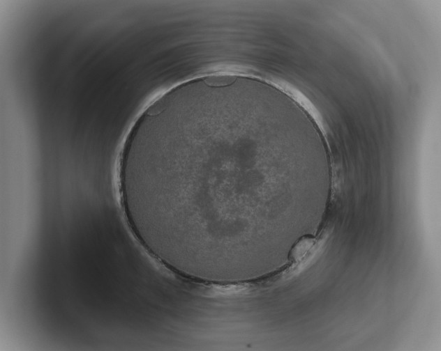 X0000102410997200808081321