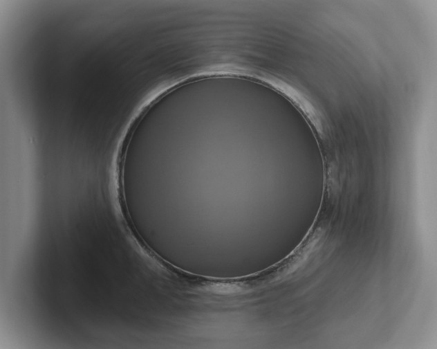 X0000102410998200808081321