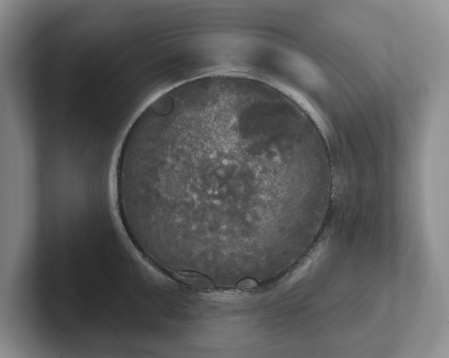 X0000102410999200808081321