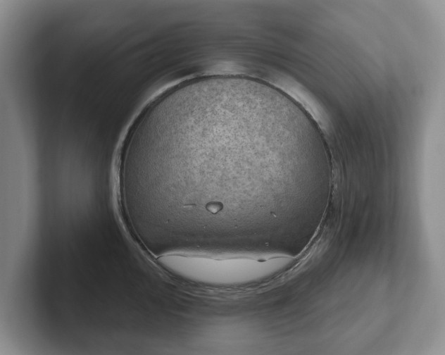 X0000102411000200808081321