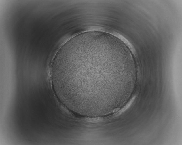 X0000102411001200808081321