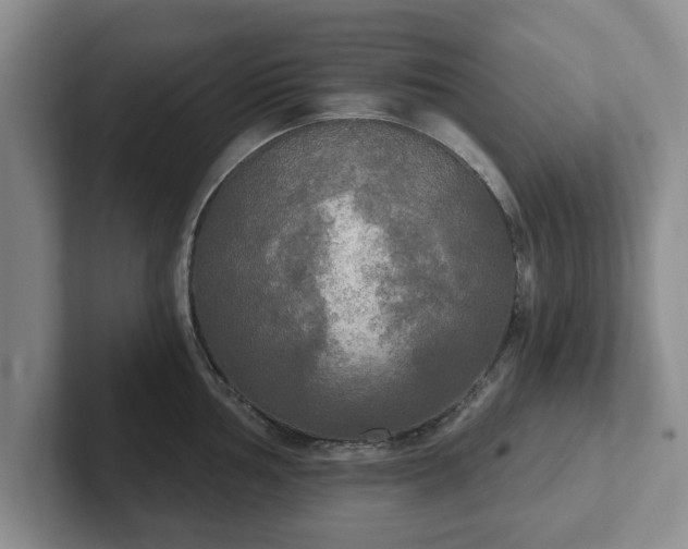 X0000102411002200808081321