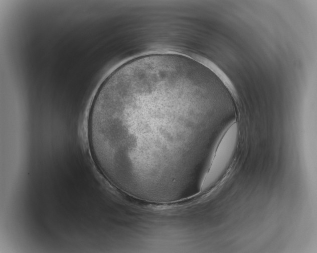 X0000102411004200808081321