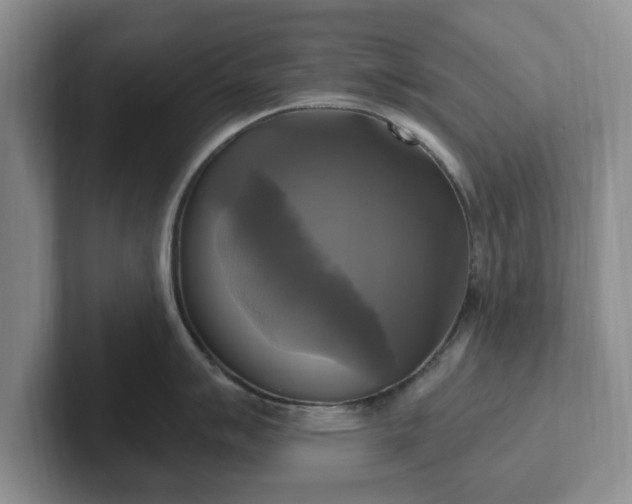 X0000102411007200808081321