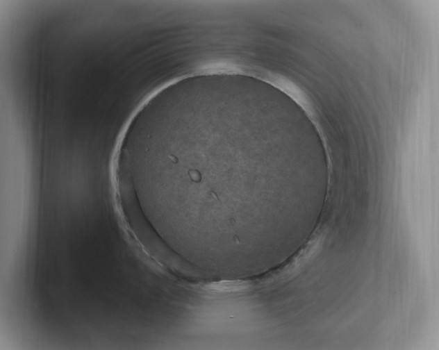 X0000102411008200808081321