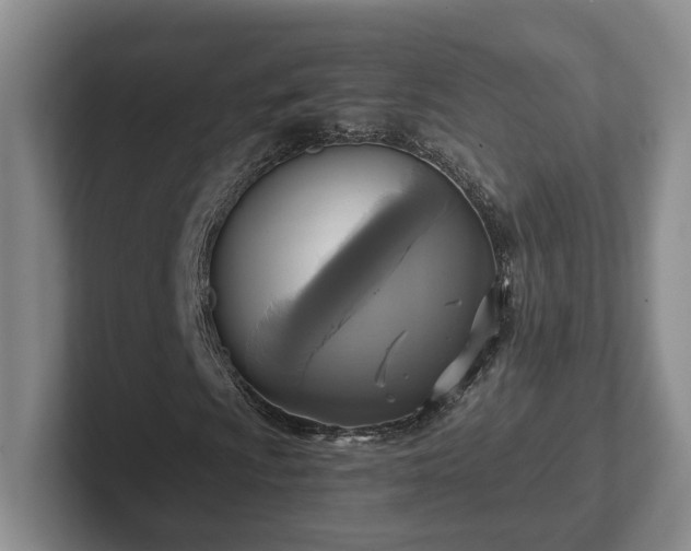 X0000102411009200808081320