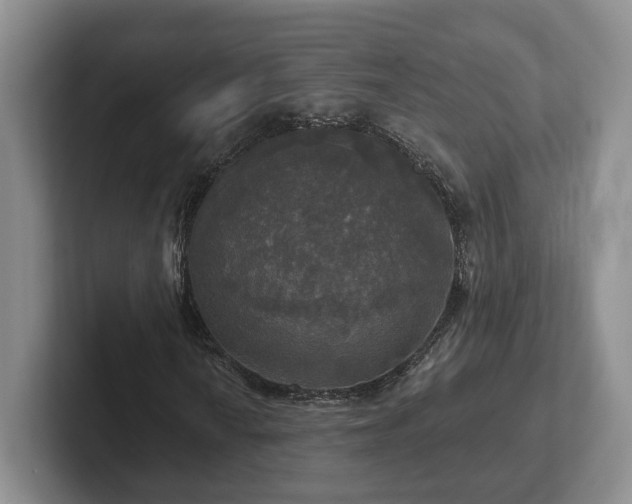 X0000102411010200808081320