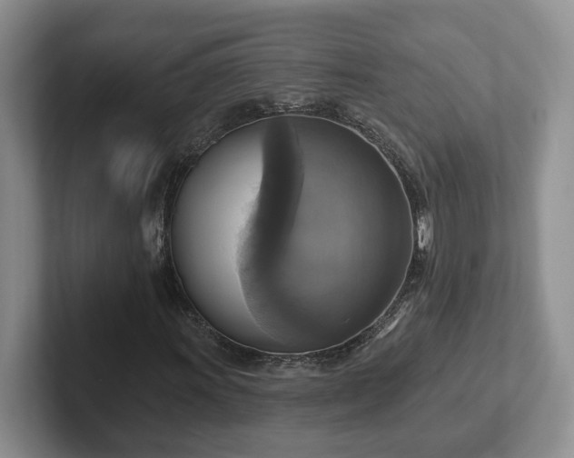 X0000102411011200808081320