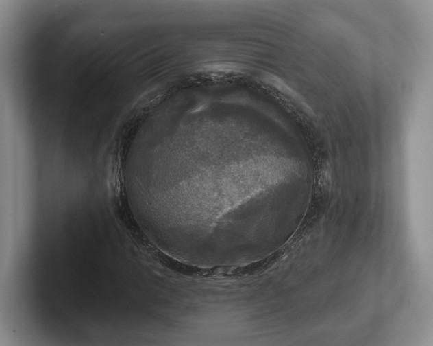 X0000102411014200808081320