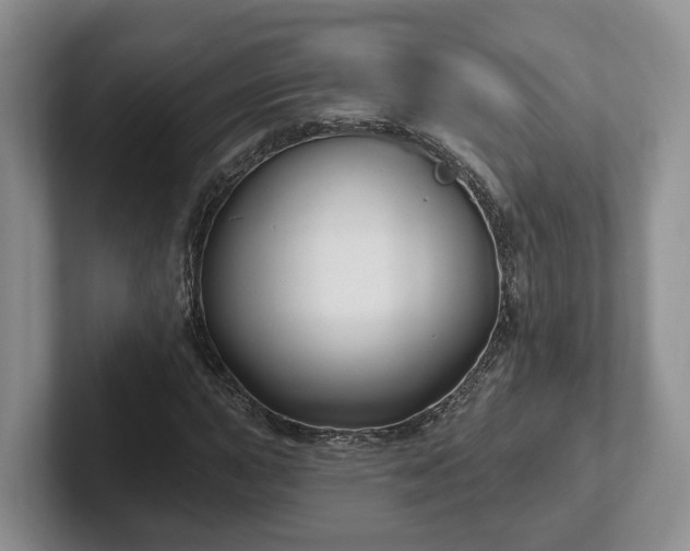 X0000102411015200808081320