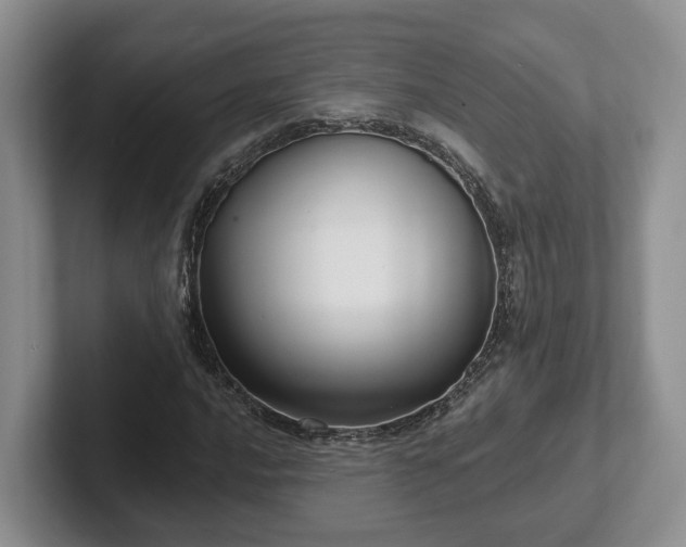 X0000102411016200808081320