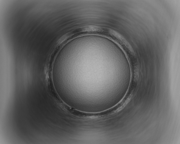 X0000102411017200808081320