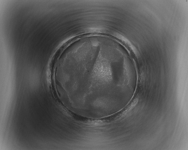 X0000102411019200808081320