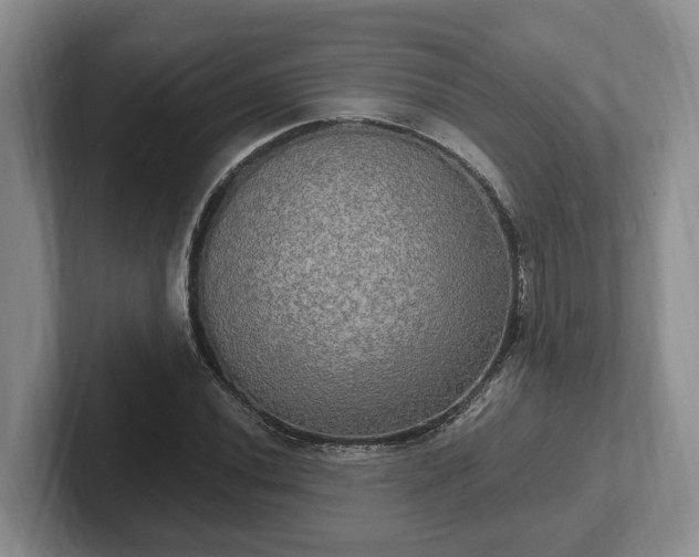 X0000102411020200808081320