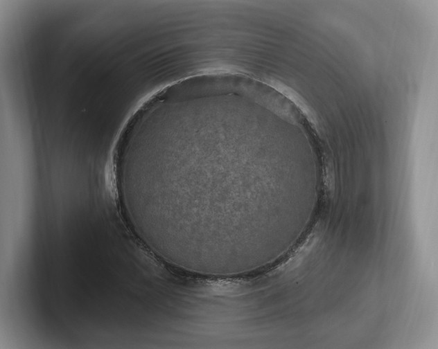 X0000102411022200808081320