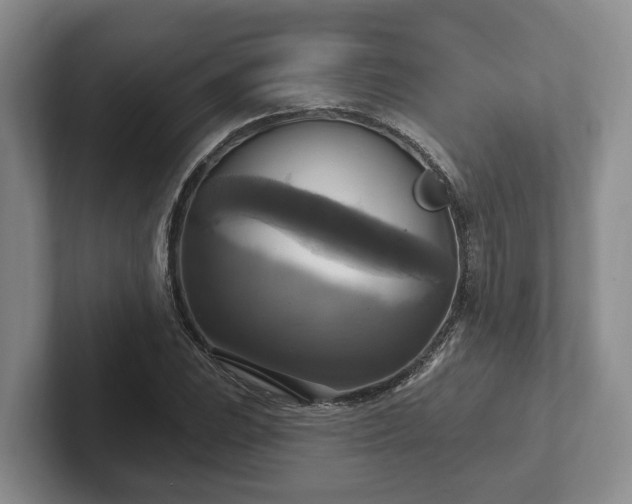 X0000102411023200808081320