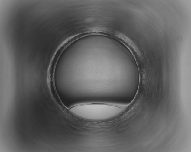 X0000102411024200808081320