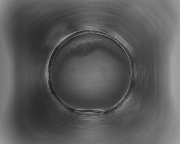 X0000102411028200808081320