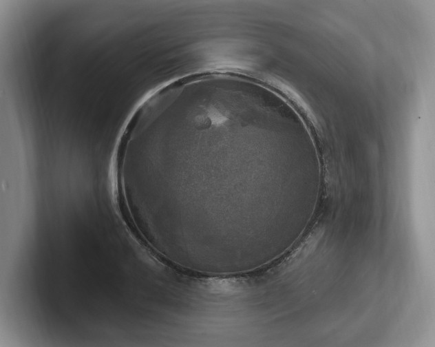 X0000102411032200808081320