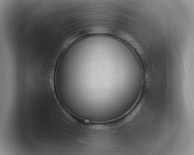 X0000102411033200808081320