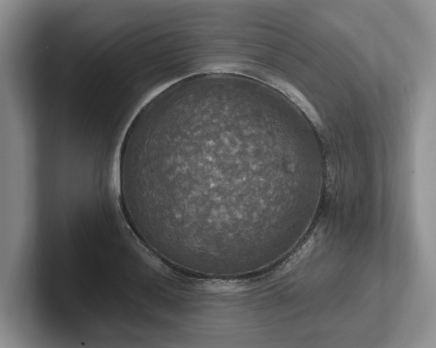 X0000102411036200808081320