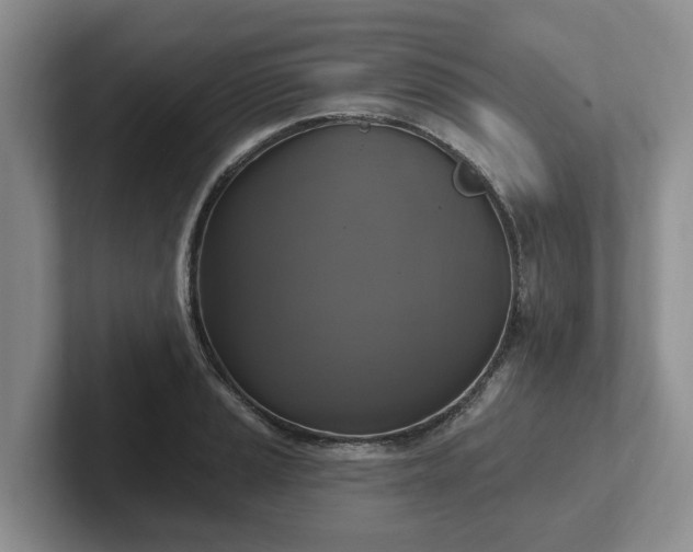 X0000102411037200808081320