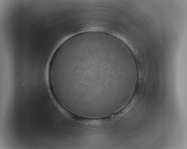 X0000102411038200808081320