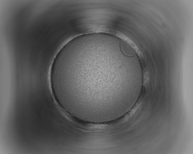 X0000102411039200808081320