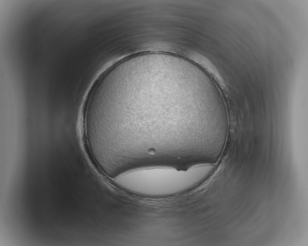 X0000102411040200808081320