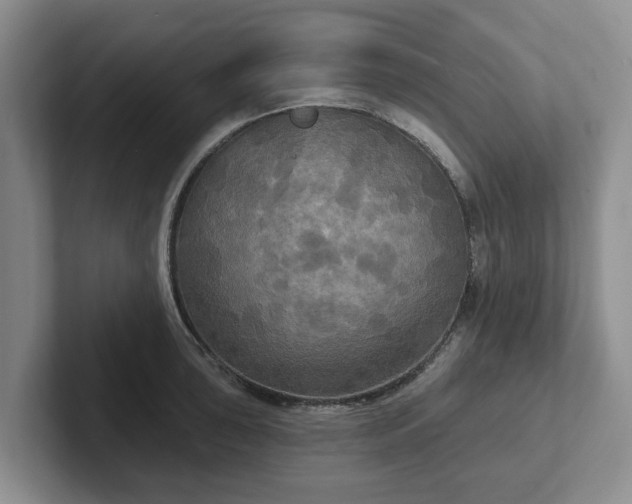 X0000102411043200808081320