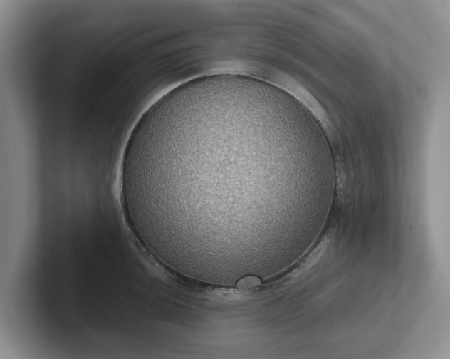 X0000102411044200808081320