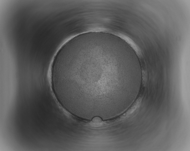 X0000102411046200808081320