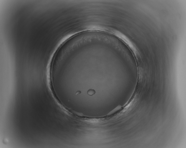 X0000102411048200808081320