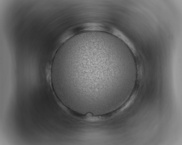 X0000102411049200808081320