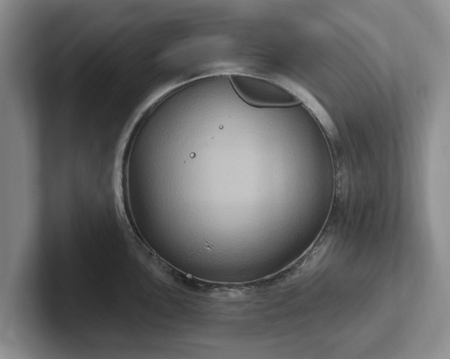 X0000102411051200808081320